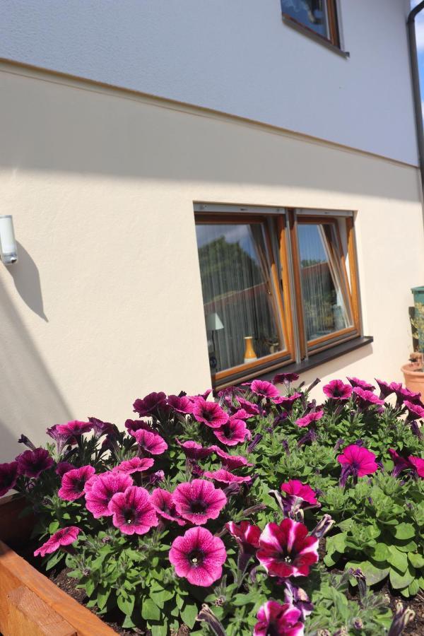 Ferienwohnung Pimer Ranschbach Zewnętrze zdjęcie