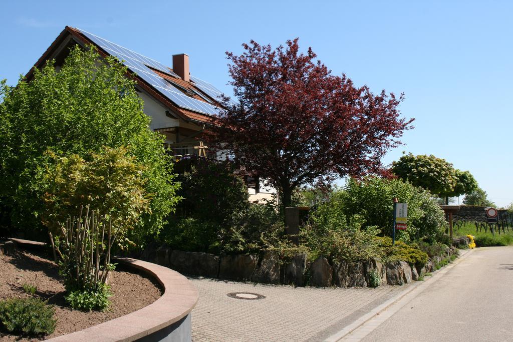 Ferienwohnung Pimer Ranschbach Zewnętrze zdjęcie